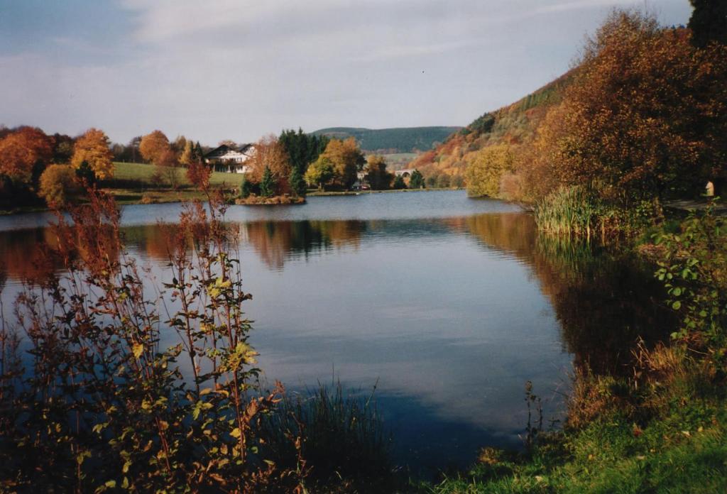 Haus Kesper-Brunen Hotell Willingen  Exteriör bild