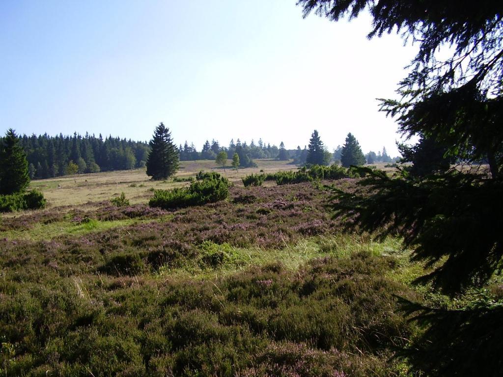 Haus Kesper-Brunen Hotell Willingen  Exteriör bild